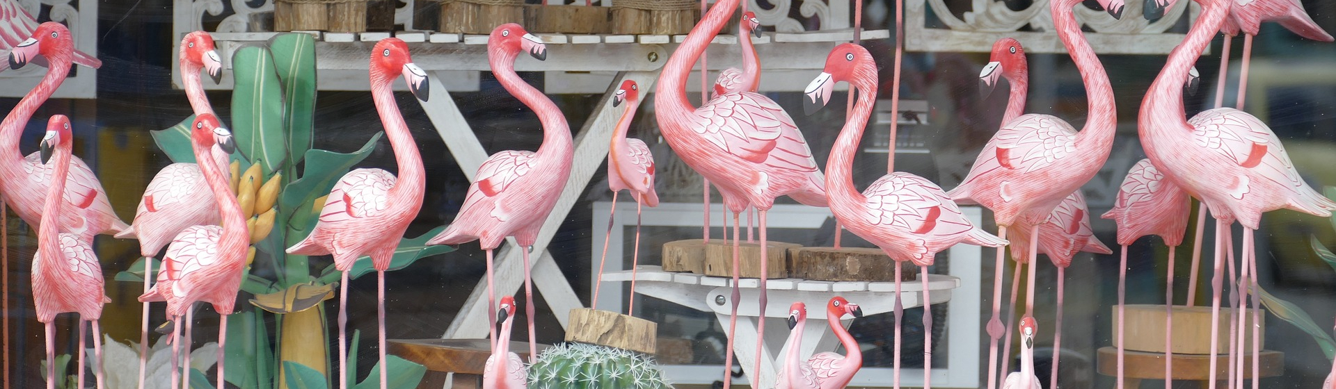 flamingo-4898574_1920